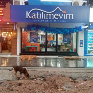 Kocaeli Şube