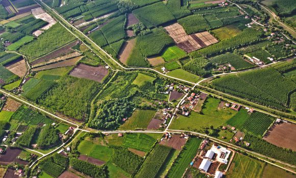 Ana Taşınmaz Nedir?