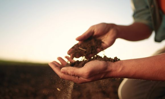 Tapuda Ham Toprak Ne Demek?