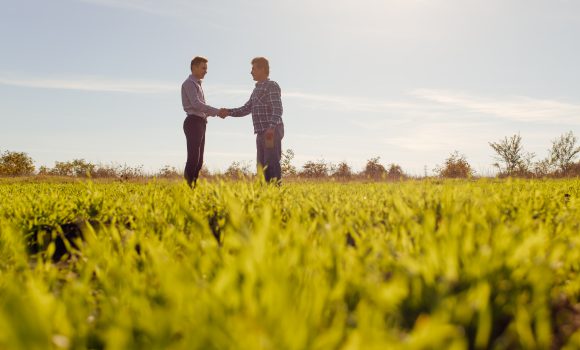 Hisseli Tarla Nasıl Satılır? Dikkat Edilmesi Gerekenler Nelerdir?