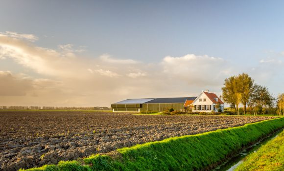 Tarlaya Ev Yapılır Mı?