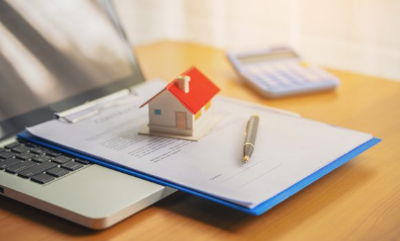 Tapuda Malik Ne Demek?