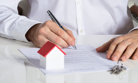 Tapuda Terkin Ne Demek?