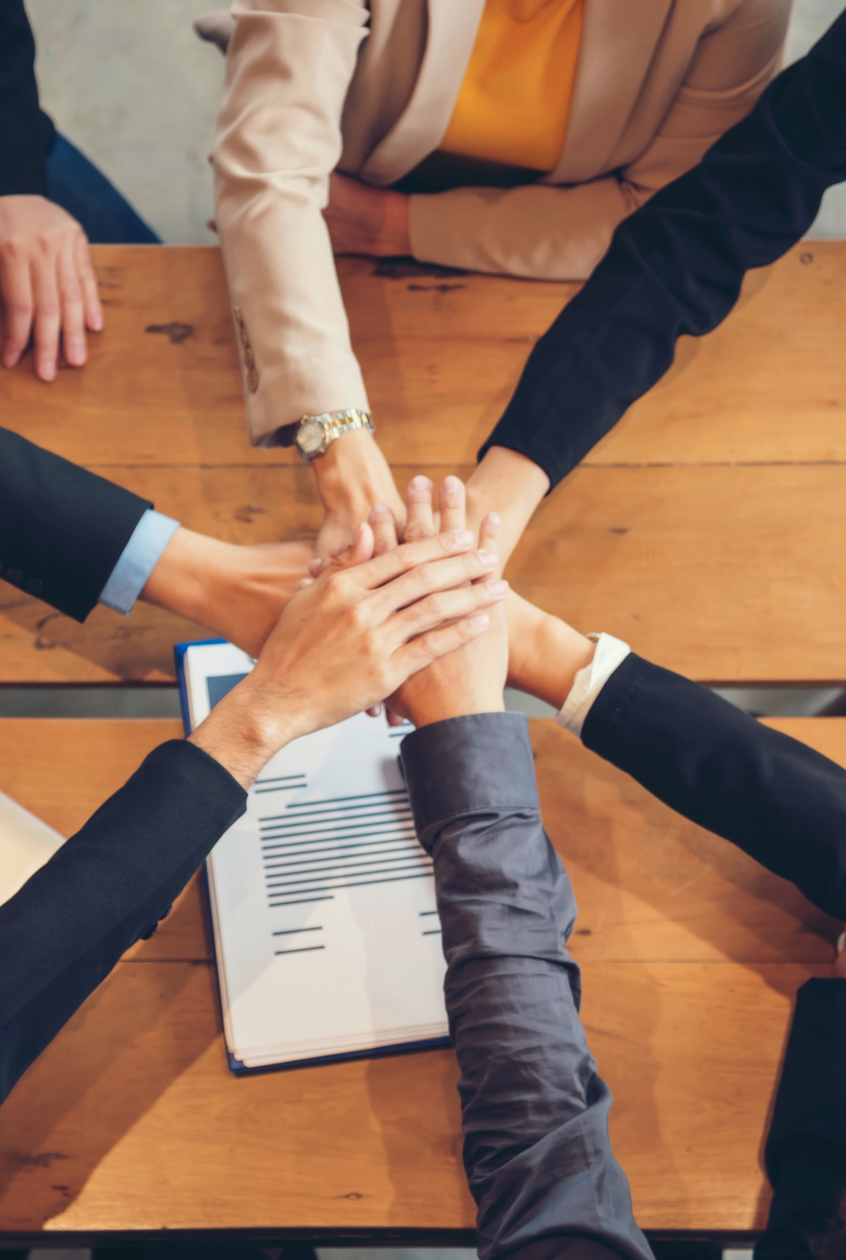 Kariyer bilgileri görseli