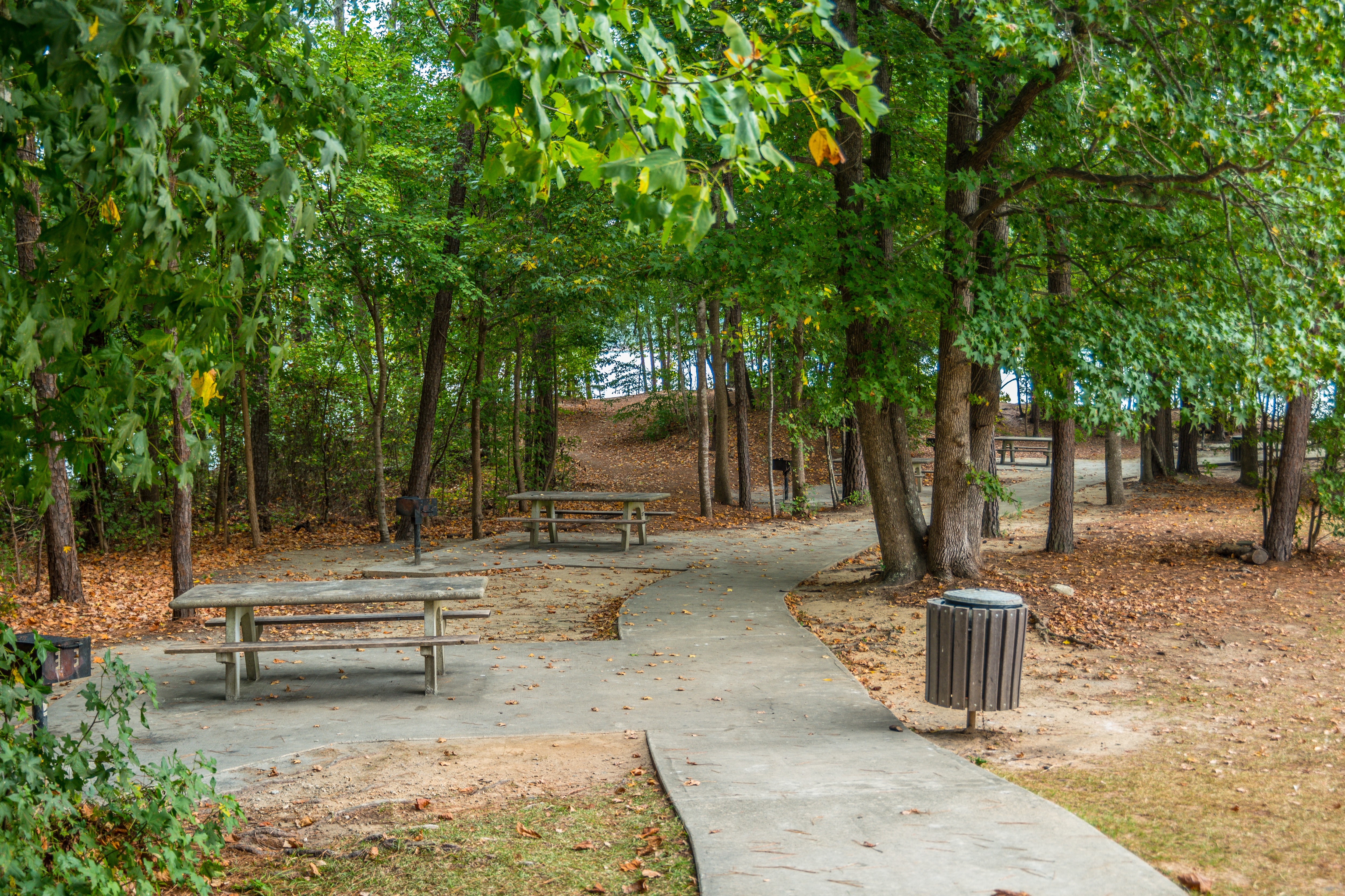 Mesire Alanı Ne Demek?